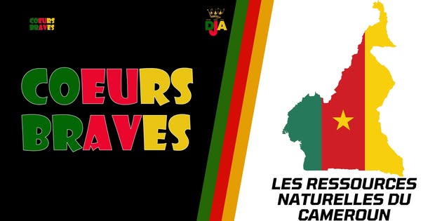 Les ressources naturelles du Cameroun